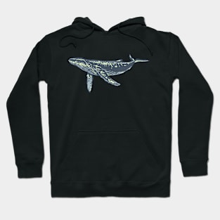 Whale Hoodie